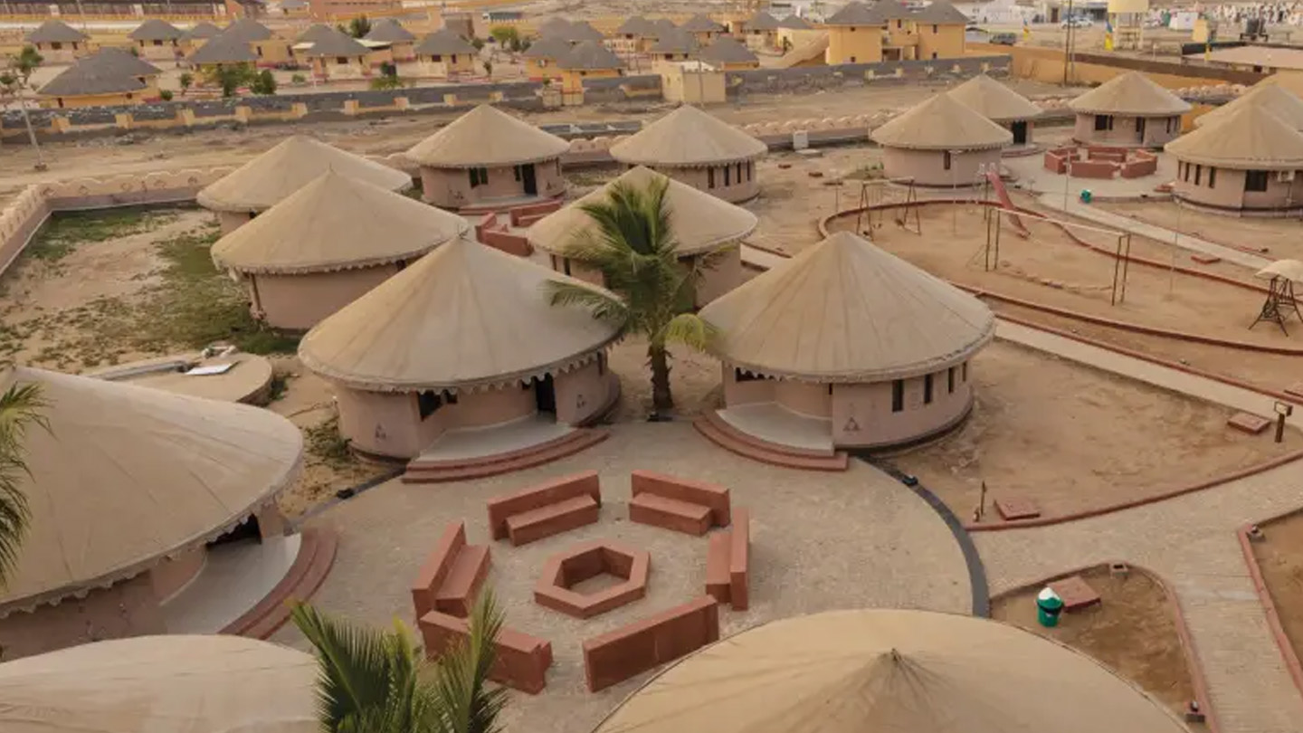 WHITE RANN PACKAGES